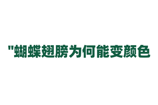 "蝴蝶翅膀为何能变颜色？"